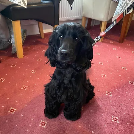 Winchester House Keswick (Cumbria)