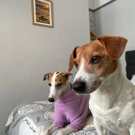 Bed & Breakfast Winchester House 4*