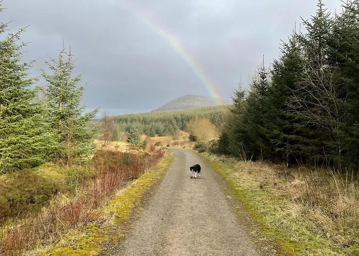 Bed & Breakfast Winchester House