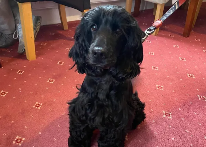 Winchester House Keswick (Cumbria)